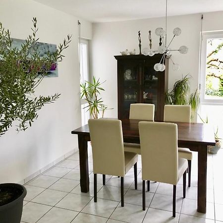Ferienwohnung Annabelle Bodman-Ludwigshafen Bagian luar foto